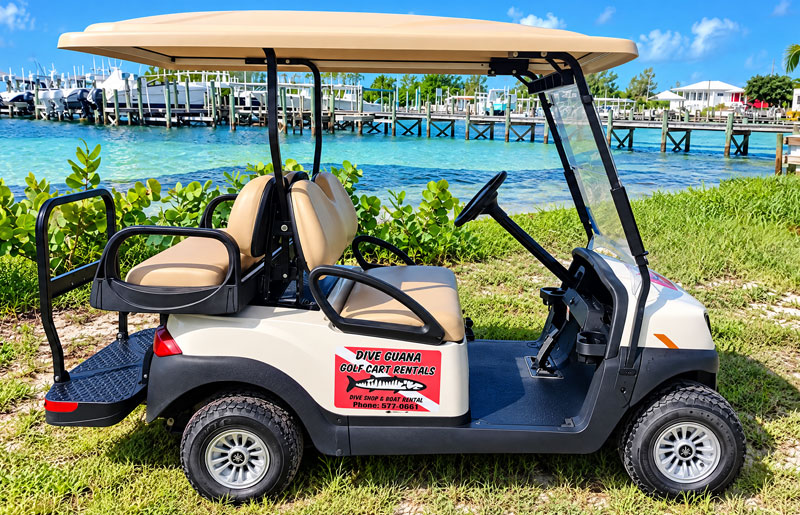 Golf cart